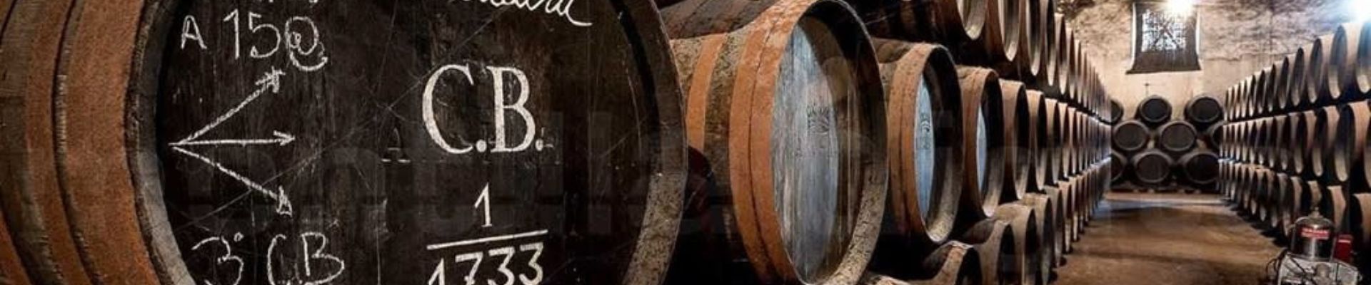 Cata Las Grandes Soleras de Alvear