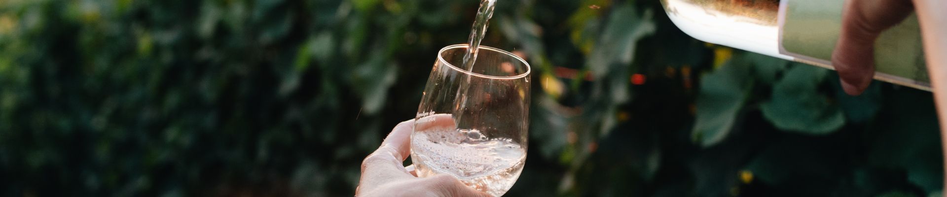 El Alma de los Albariños