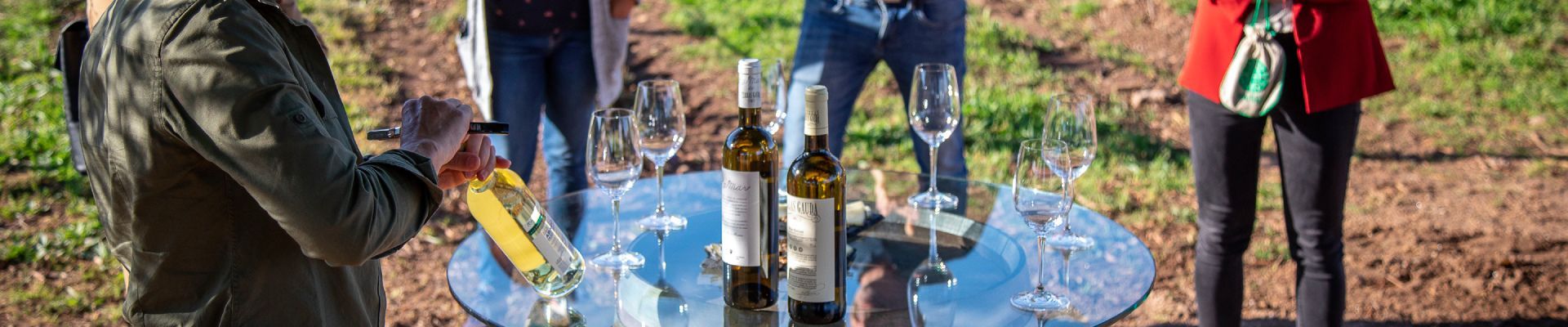 En buena compañía... con Terras Gauda