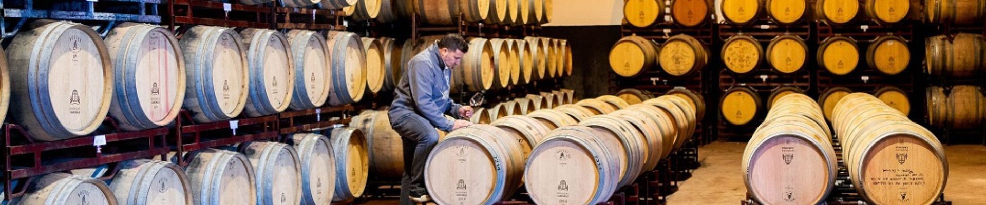 Experiencia Carchelo