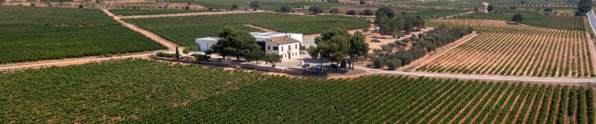 Experiencia enológica