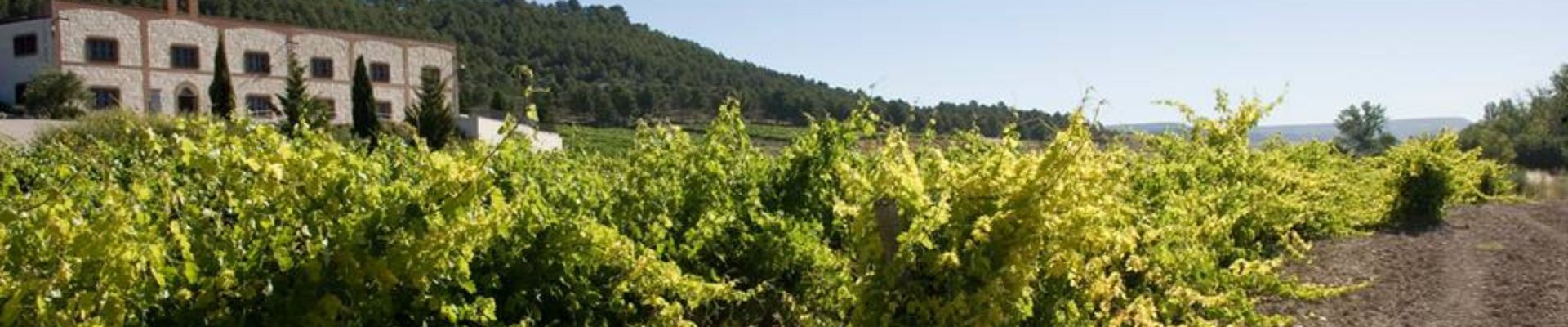 Experiencia Familia Matarromera