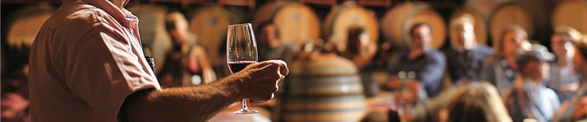 Las catedrales del vino