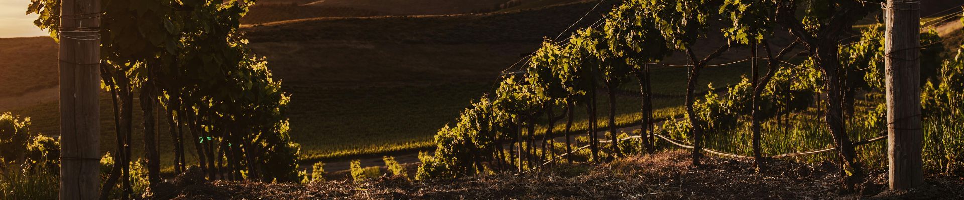 Los nombres de la tierra