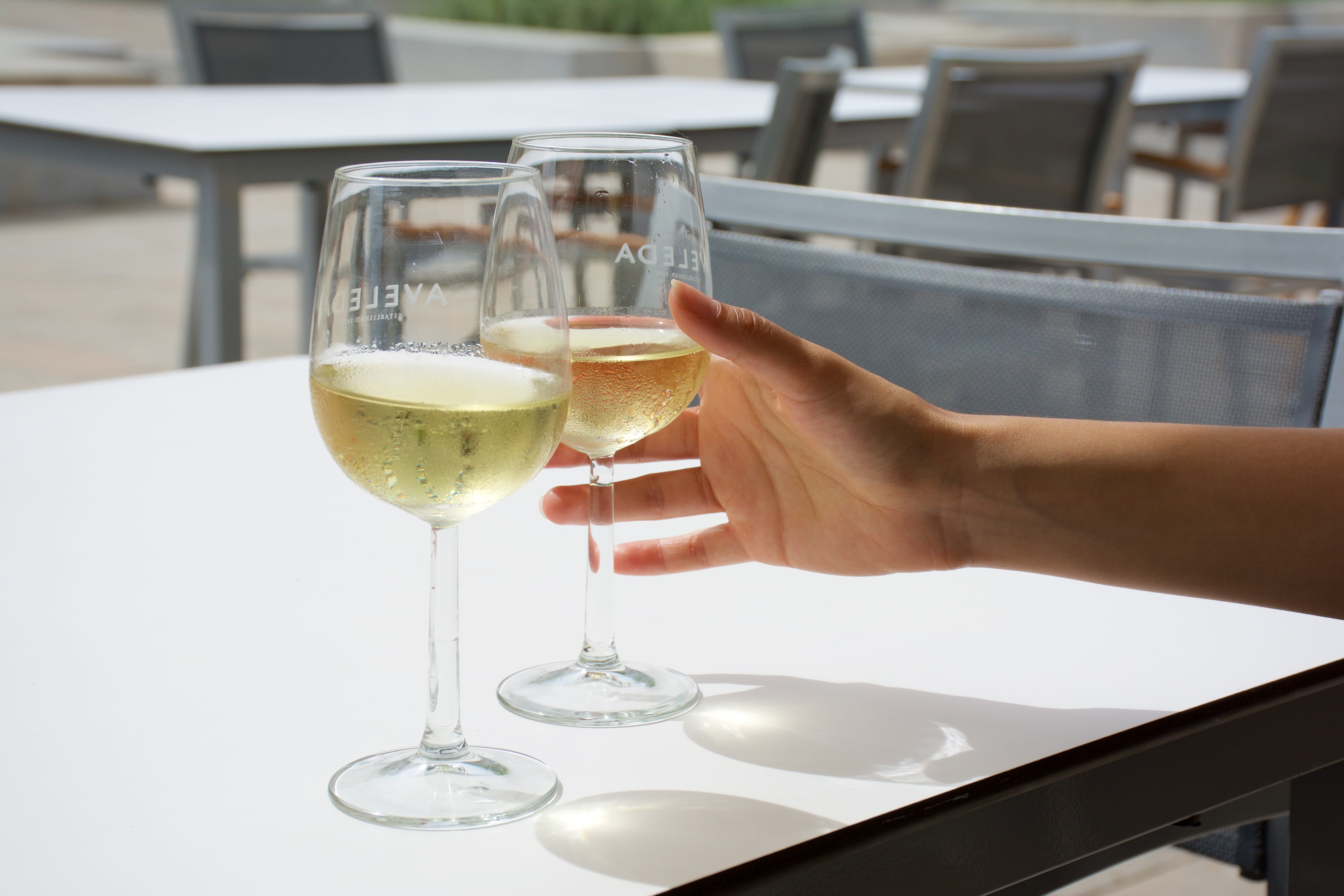 Visita Clásica + Cata de 3 Manzanillas