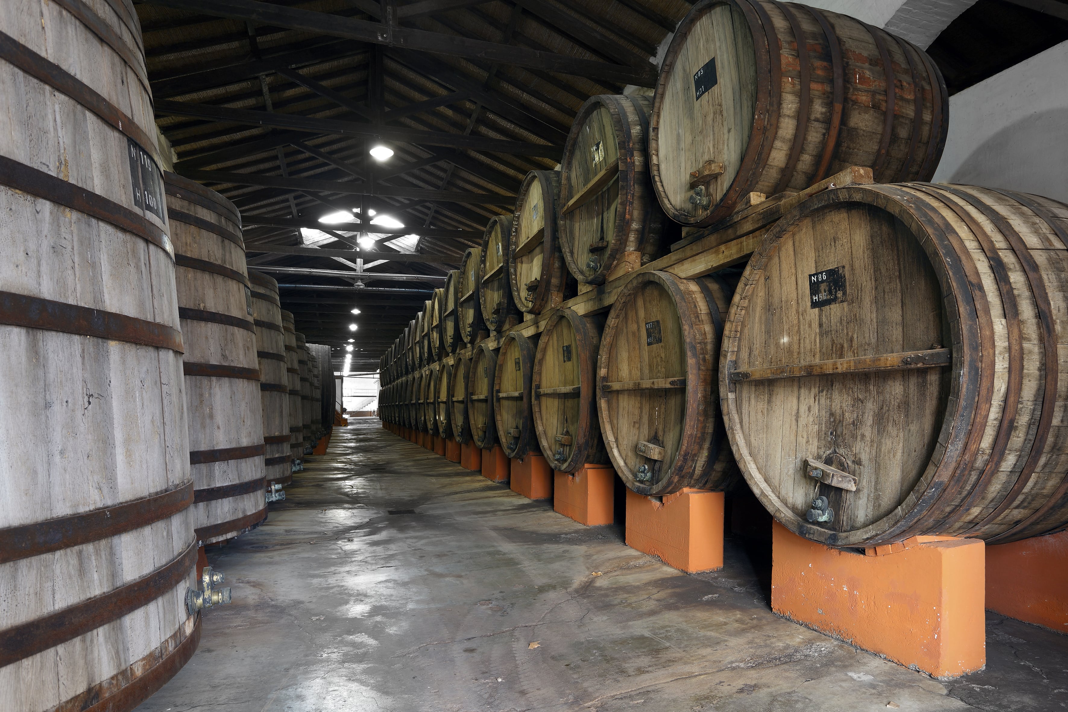 Atardecer & Vino con Concierto Acústico