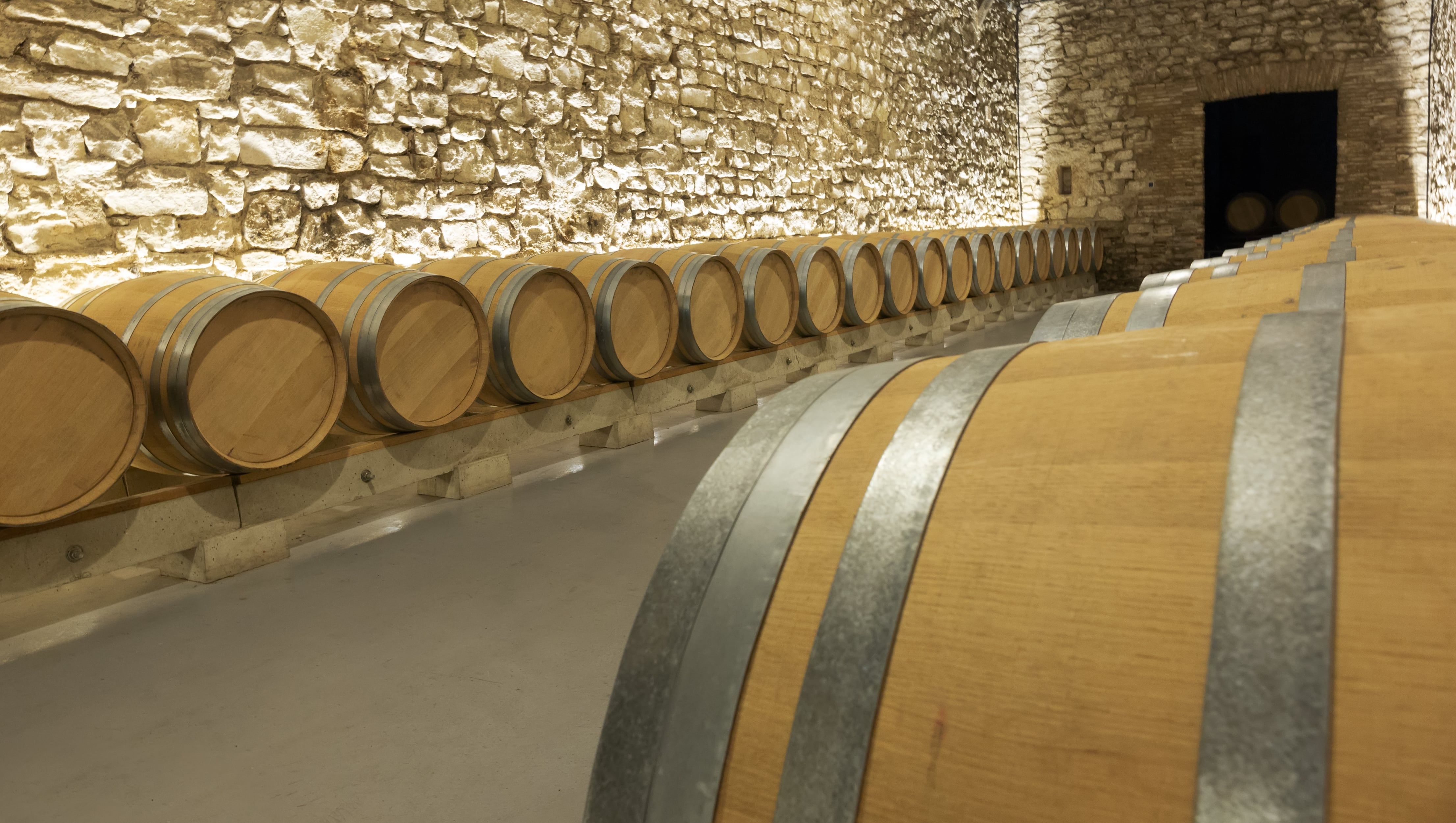 Visita a la bodega de elaboración + Cata de vinos