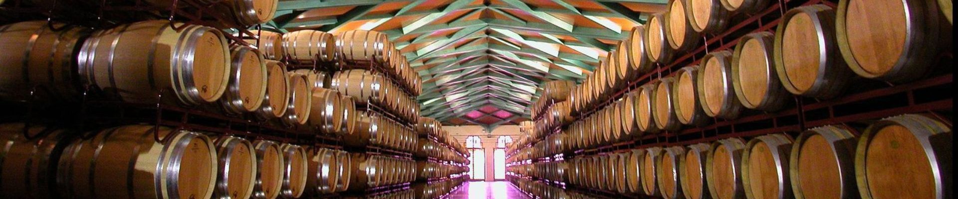 Visita a nuestra bodega