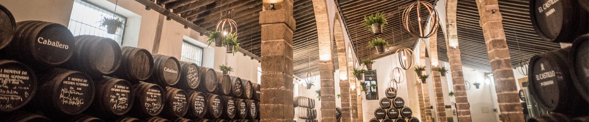 Visita al castillo y la bodega, con cata