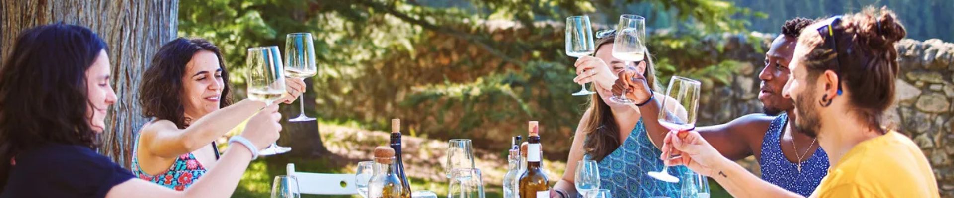 Visita al viñedo + almuerzo al Mirador de les Caves