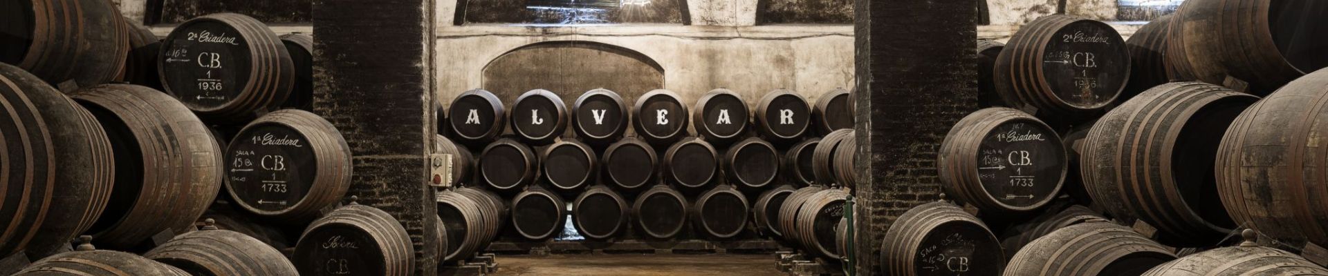 Visita con cata a Alvear