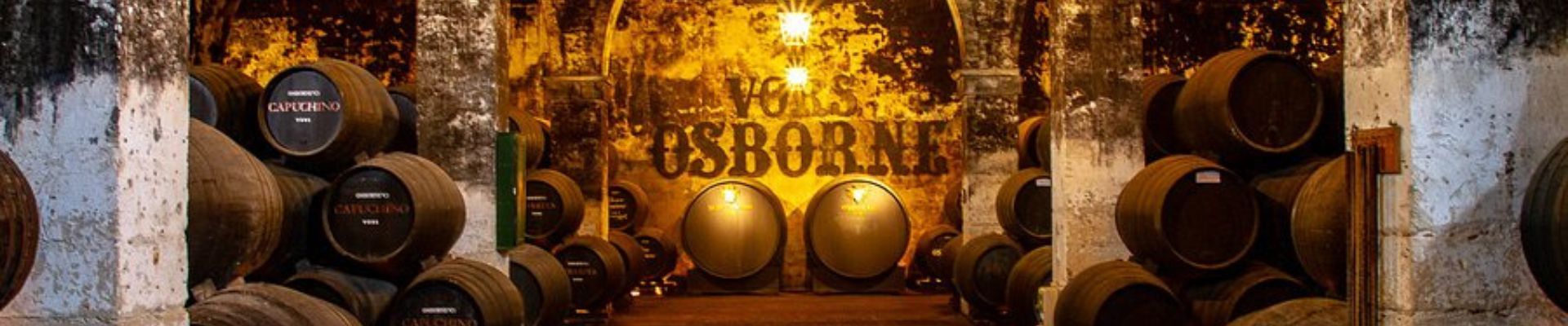 Visita guiada a Bodegas de Mora VIP