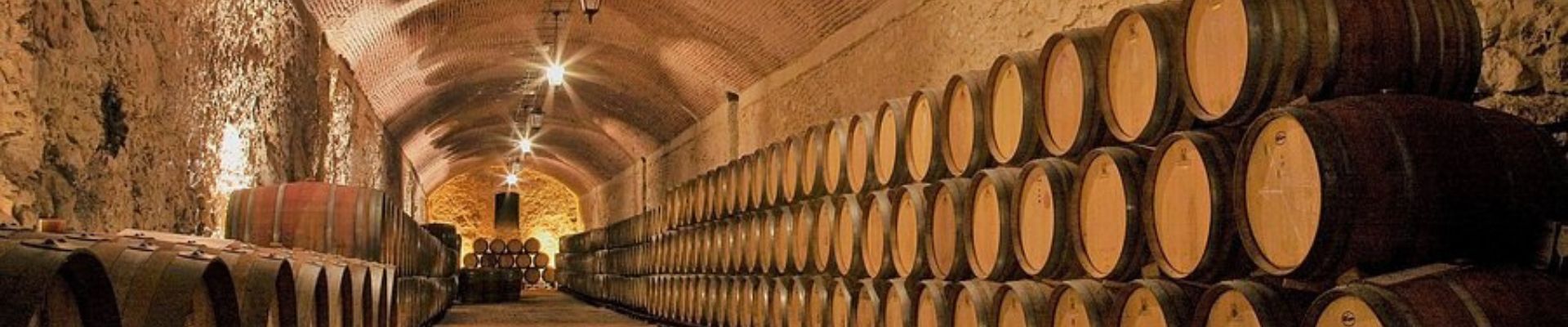 Visita guiada a la bodega