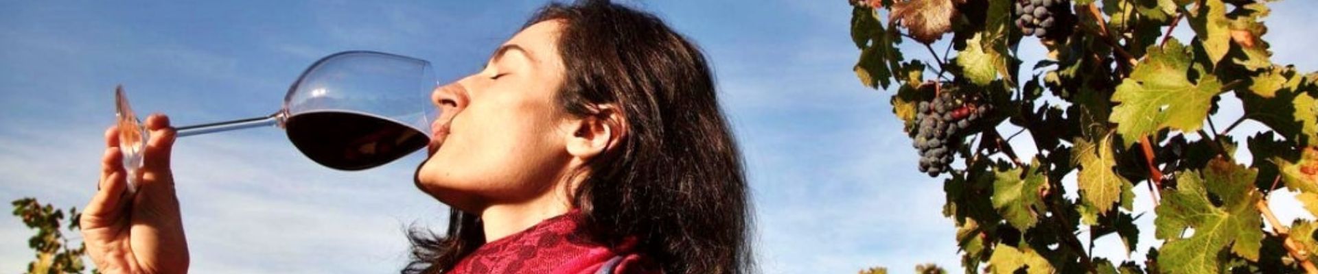 Visita guiada Enoturismo + Degustación