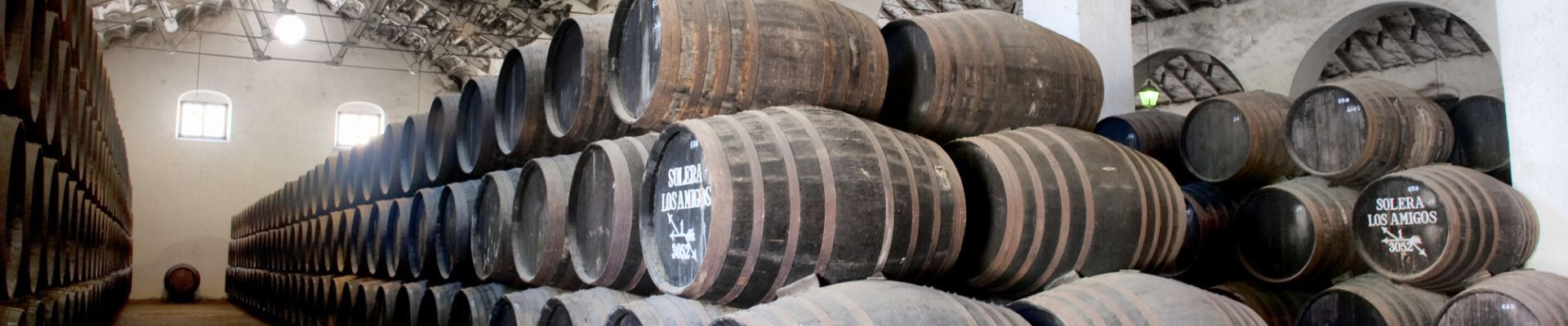 Visita Los Amigos con cata de 4 vinos