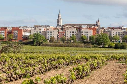 Vilafranca Del Penedès
