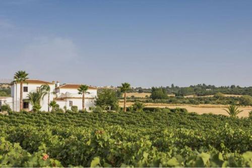 Bodegas García Hidalgo