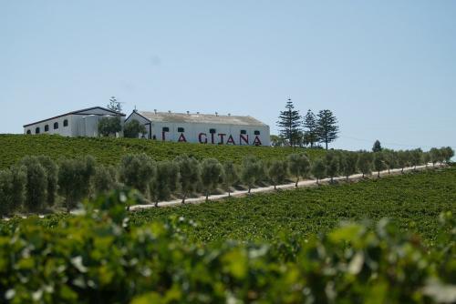 Bodegas Hidalgo - La Gitana