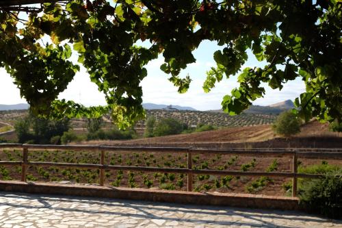 Bodegas Viña Puebla