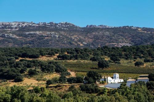 Cortijo Los Aguilares